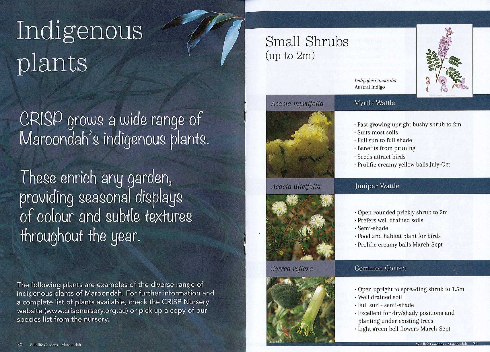 Sample page of Wildlife Gardens Booklet